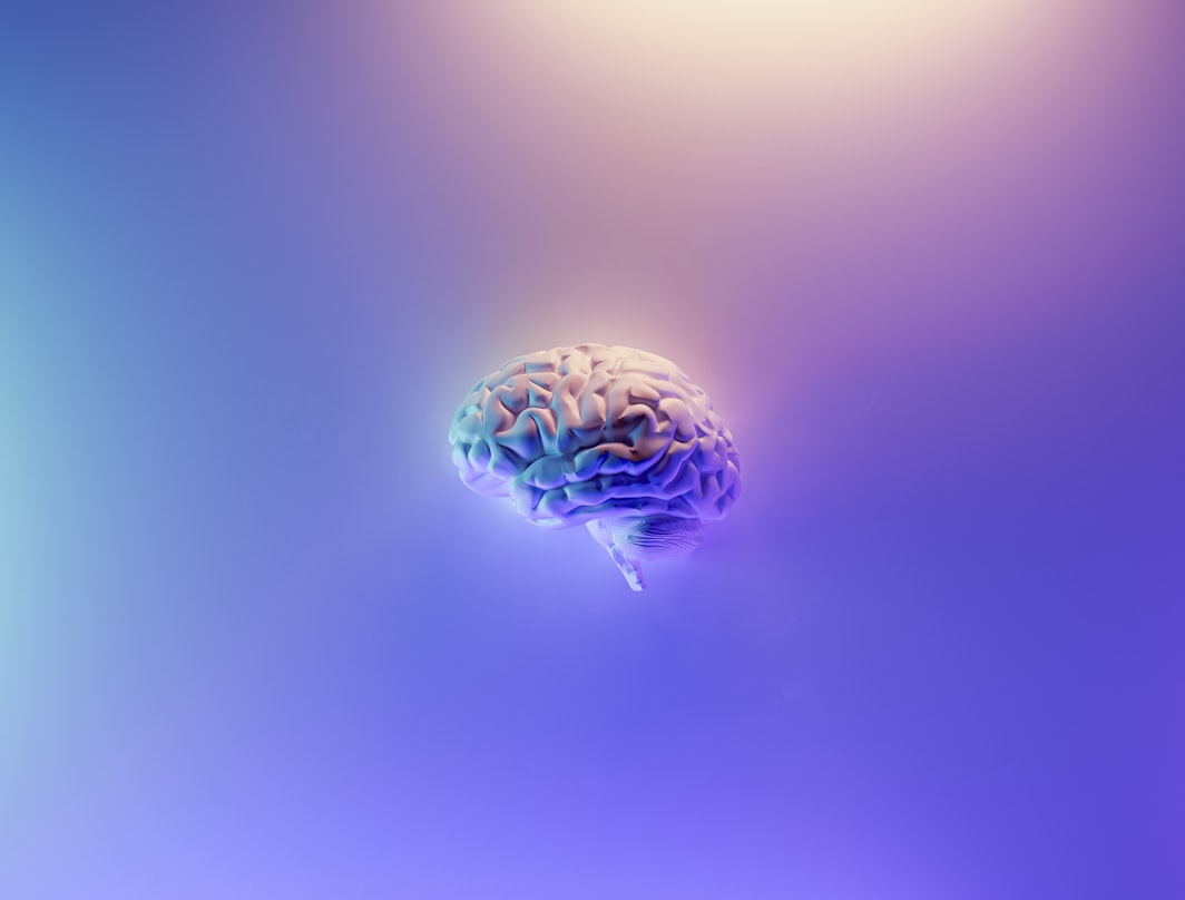 A colourful image of a 3D brain
